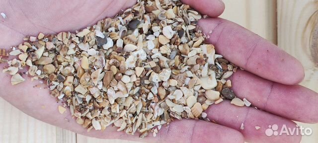 Ракушка для кур, кормовая