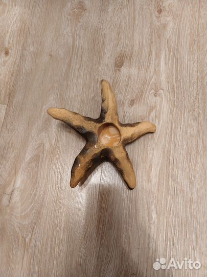 Декоративная морская звезда