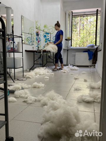 Экспресс-линька собак и кошек