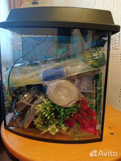 Аквариум