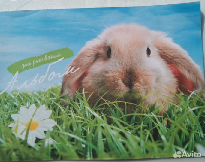 Альбом для рисования