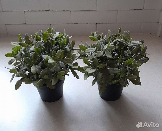 Искусственные цветы IKEA