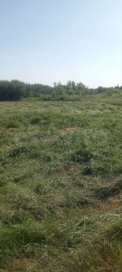 Участок 25 сот. (ИЖС)