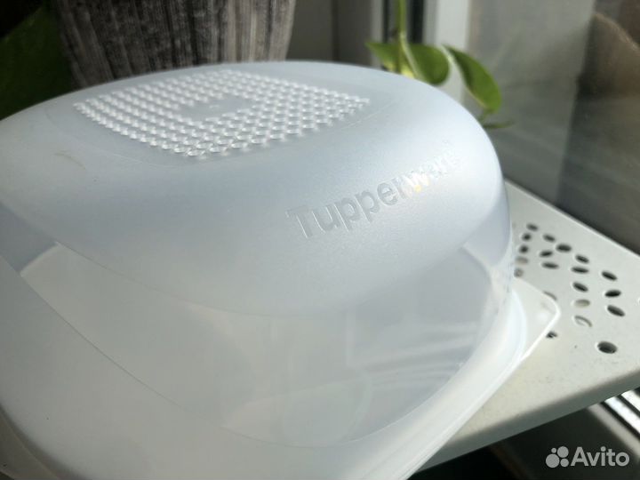 Контейнер для хранения Tupperware (Умная сырница)