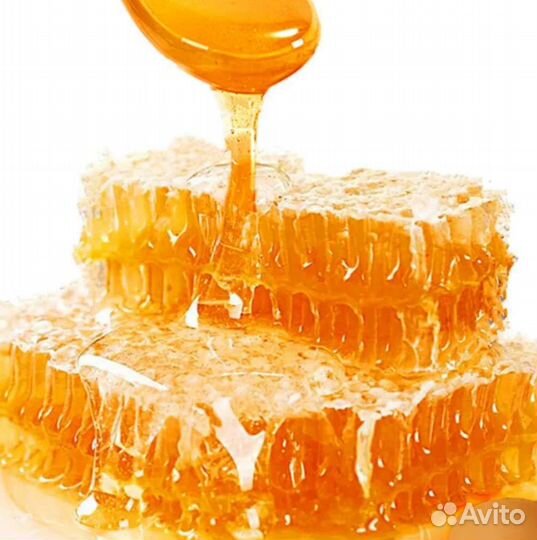 Мед в сотах