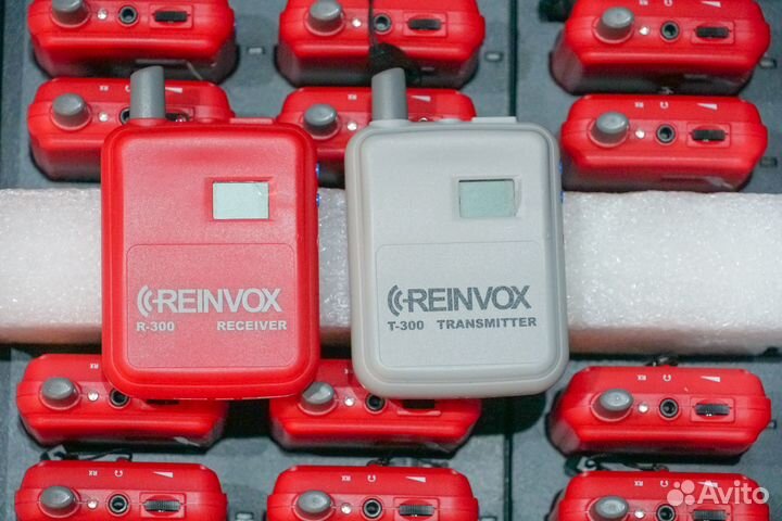 Радиогид Reinvox