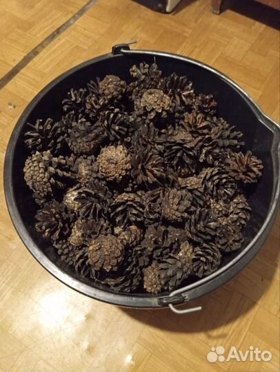 Шишки сосновые. Раскрытые. Для поделок, декора