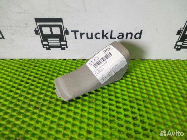 Накладка декоративная Man Tgs