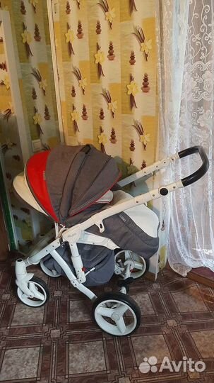 Коляска 2 в 1 adamex