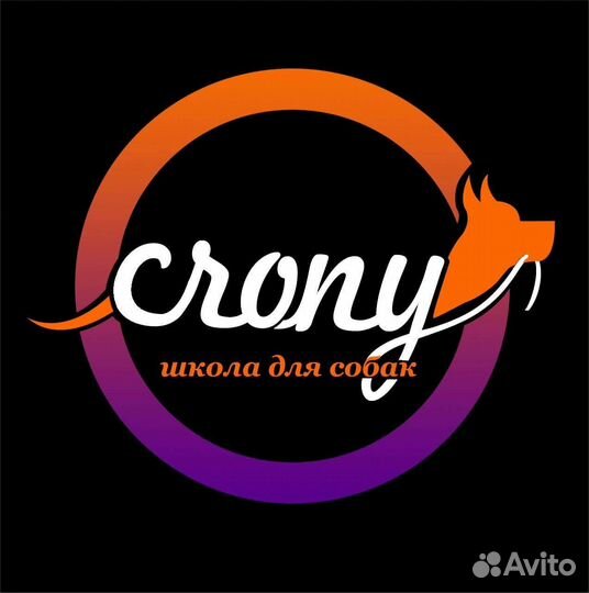 Кинолог / Специалист по поведению собак