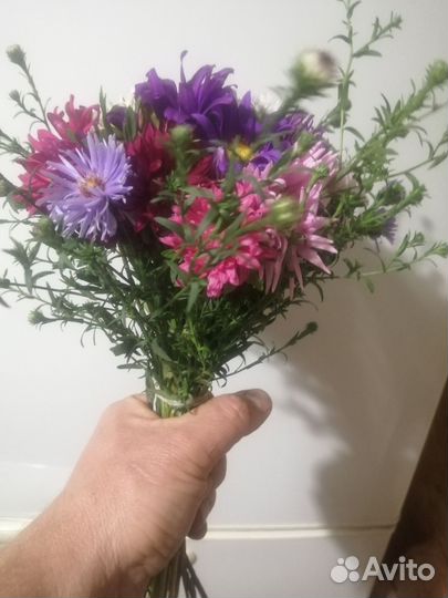 Букетик из садовых цветов