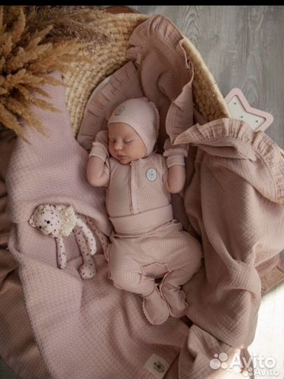 Комплект на выписку от Наследникъ выжанова