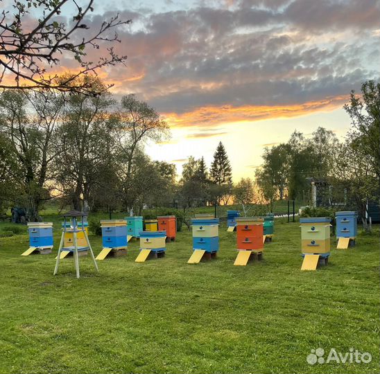 Вощина для свечей