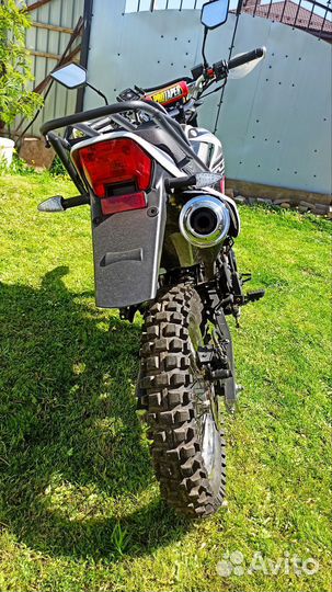 Raser panthera 250