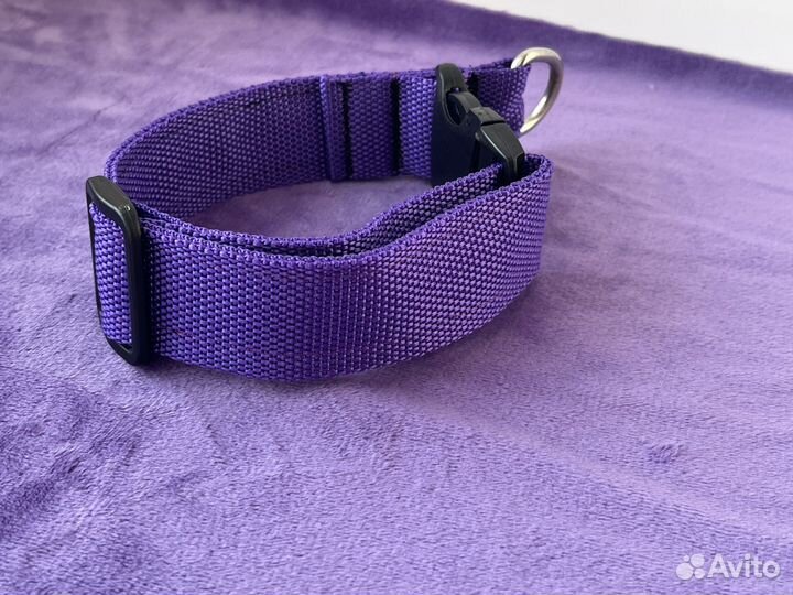 Ошейник для собак