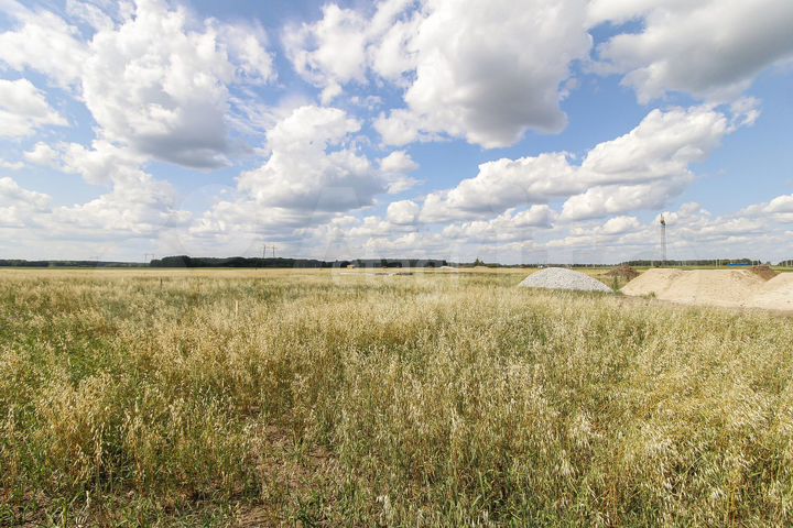 Участок 8,3 сот. (СНТ, ДНП)