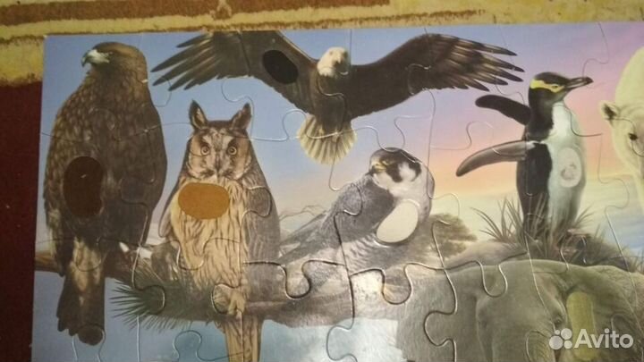 Пазлы напольные и настольные