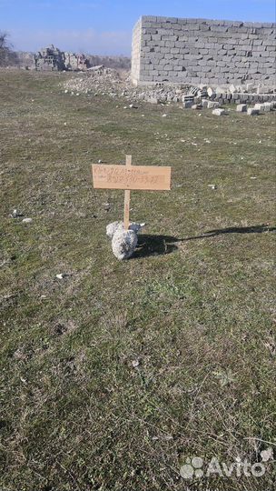 Продам земельный участок