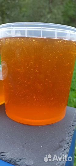 Мёд Лесной (2023)