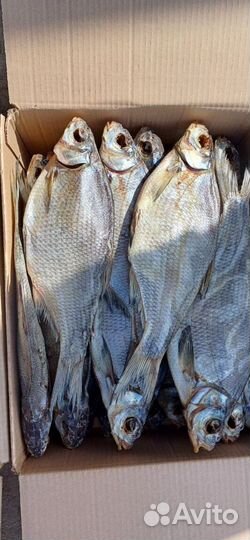 Астраханский вяленый лещ