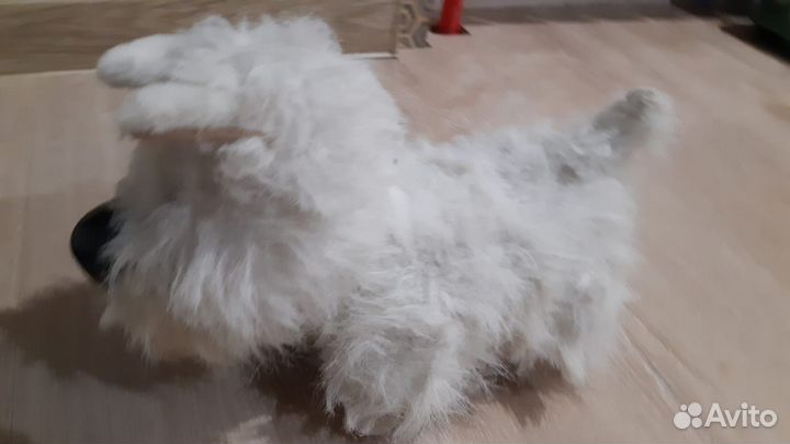 Игрушка собака