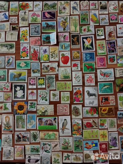 Марки Флора и Фауна