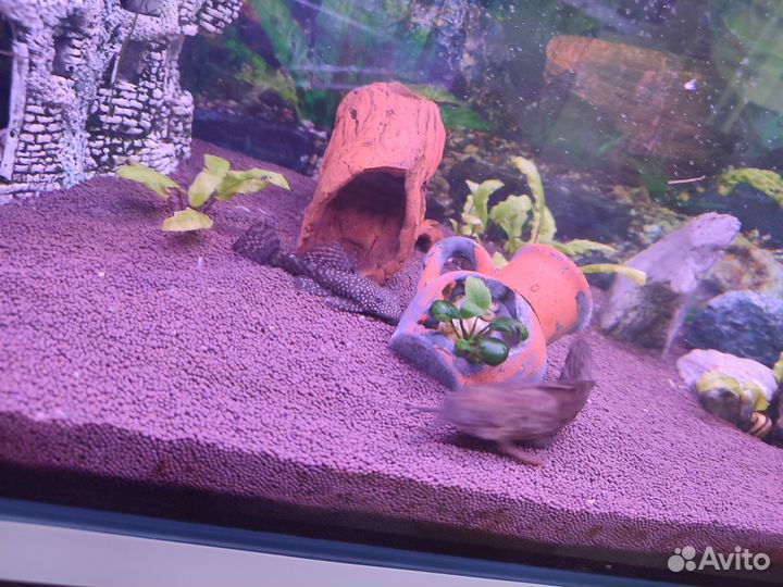 Аквариум 110л