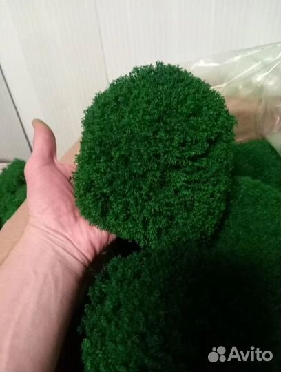 Мох яркий, сочный, кочки - премиум класс для деко