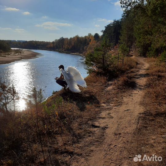 Крылья ангела белые