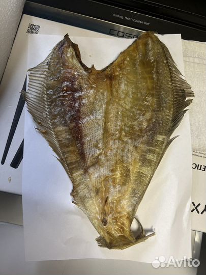 Камбала-ерш жирная Мурманская от 1кг