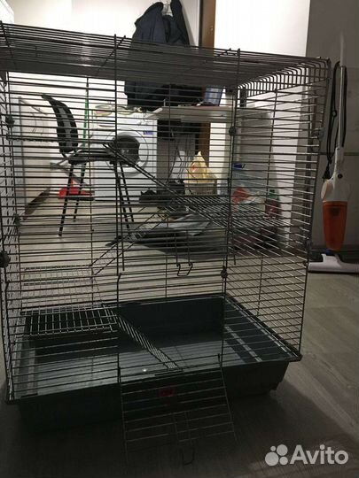 Клетка для грызунов бу