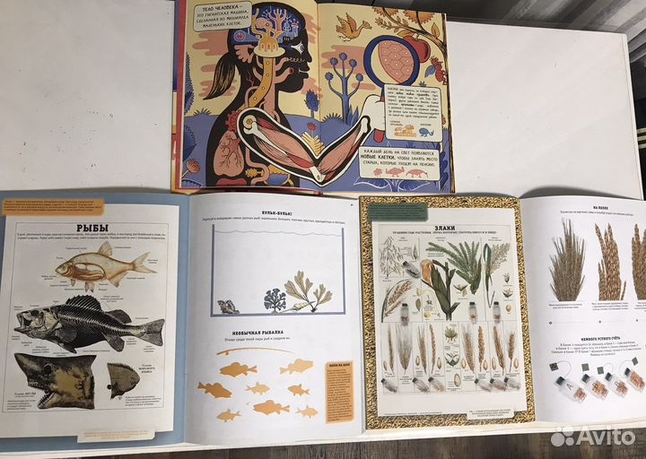 Для детей.Пособия, прописи (школа, подготовка)