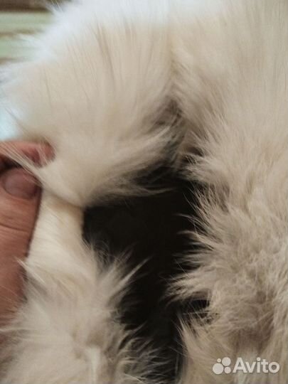 Шапка зимняя натуральный мех