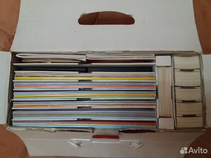 Букварь с пелёнок Умница