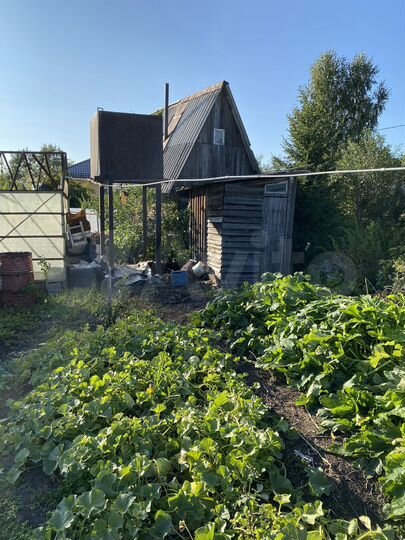 Участок 8 сот. (СНТ, ДНП)