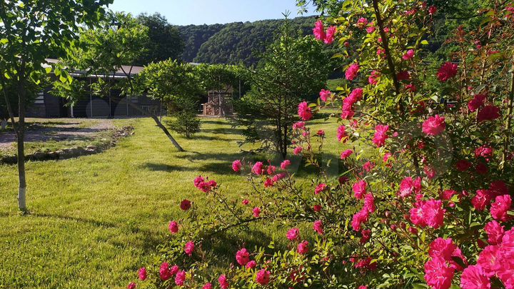 Дом 260 м² на участке 20 сот.