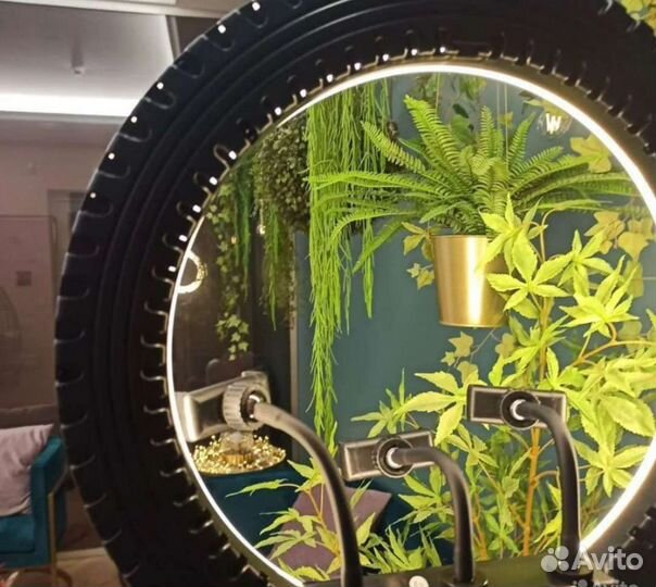 Кольцевая лампа 45 см с усиленным штативом