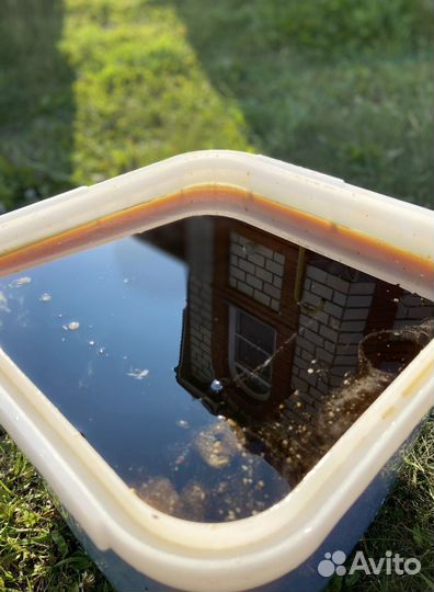 Алтайский мед оптом 2023