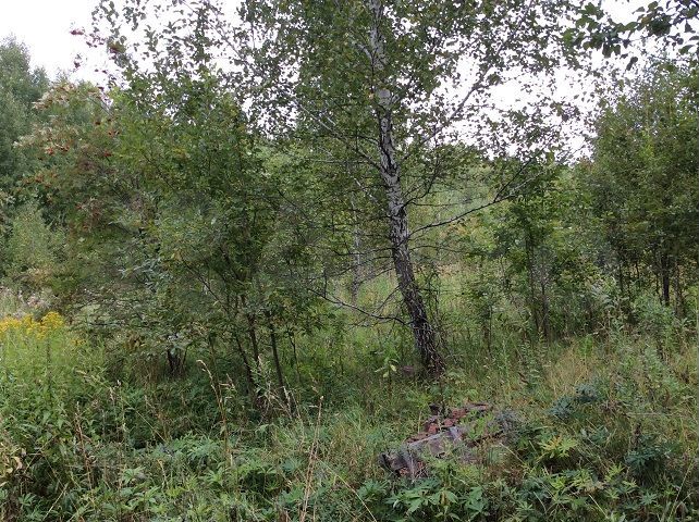 Участок 50 сот. (СНТ, ДНП)