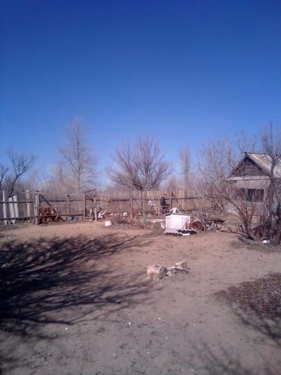 Дача 20 м² на участке 6 сот.