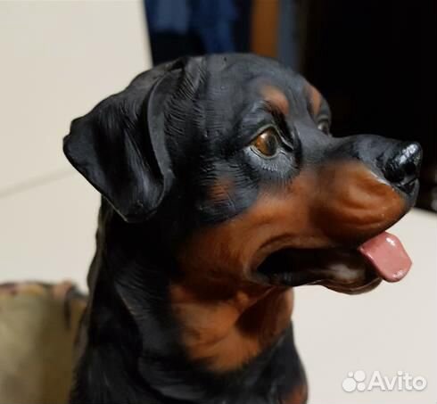 Собака ротвейлер-кашпо