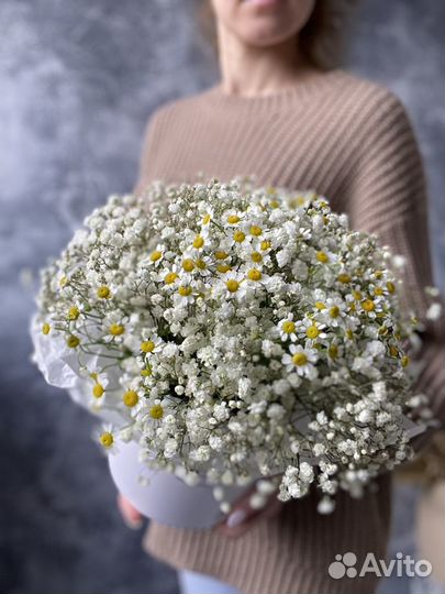 Букет ромашки и гипсофила, полевые ромашки