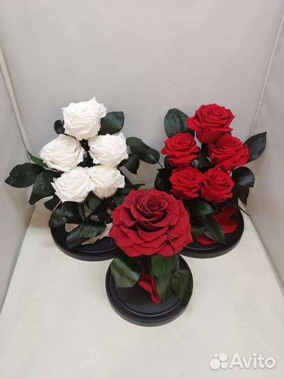 Роза в колбе оптом