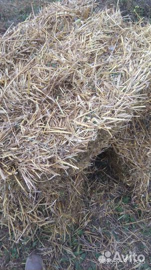 Солома в тюках