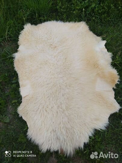 Шкуры овец