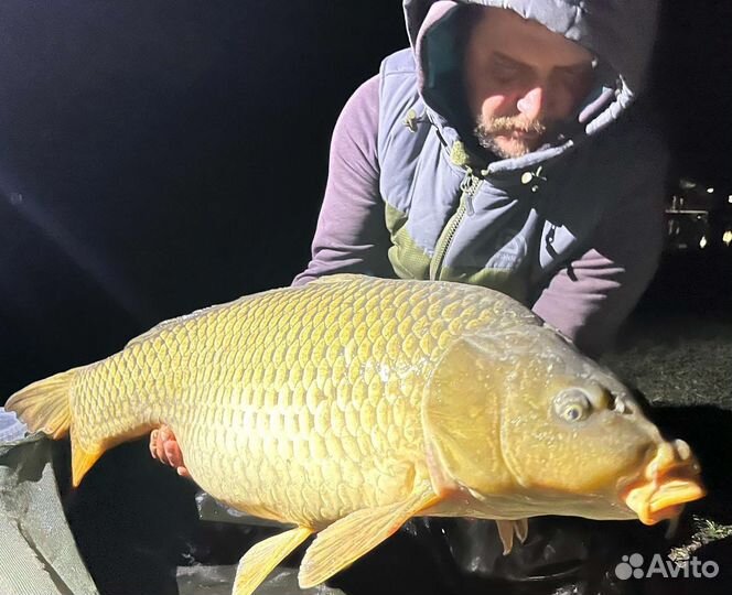 Платная рыбалка