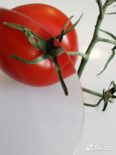 Часовая лупа