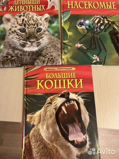 Энциклопедии