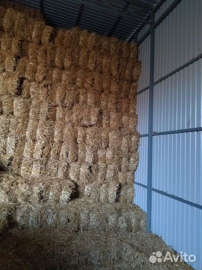 Продается Солома