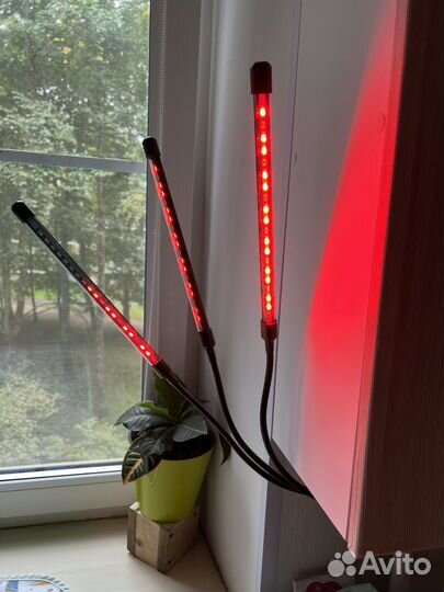 Фитолампа для растений светодиодная